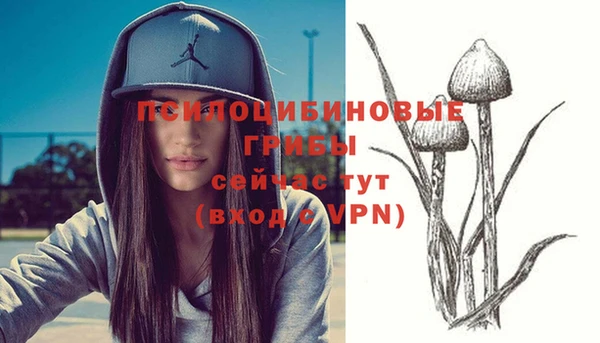 mdma Нефтегорск