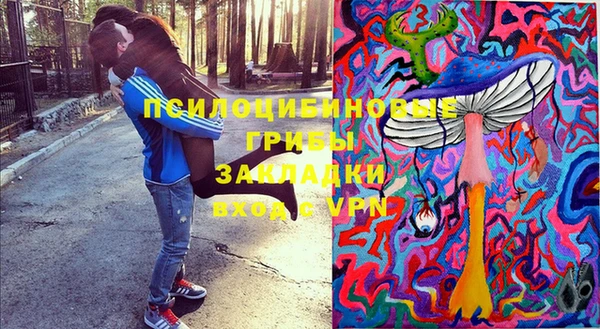 прущие крисы Нефтекумск